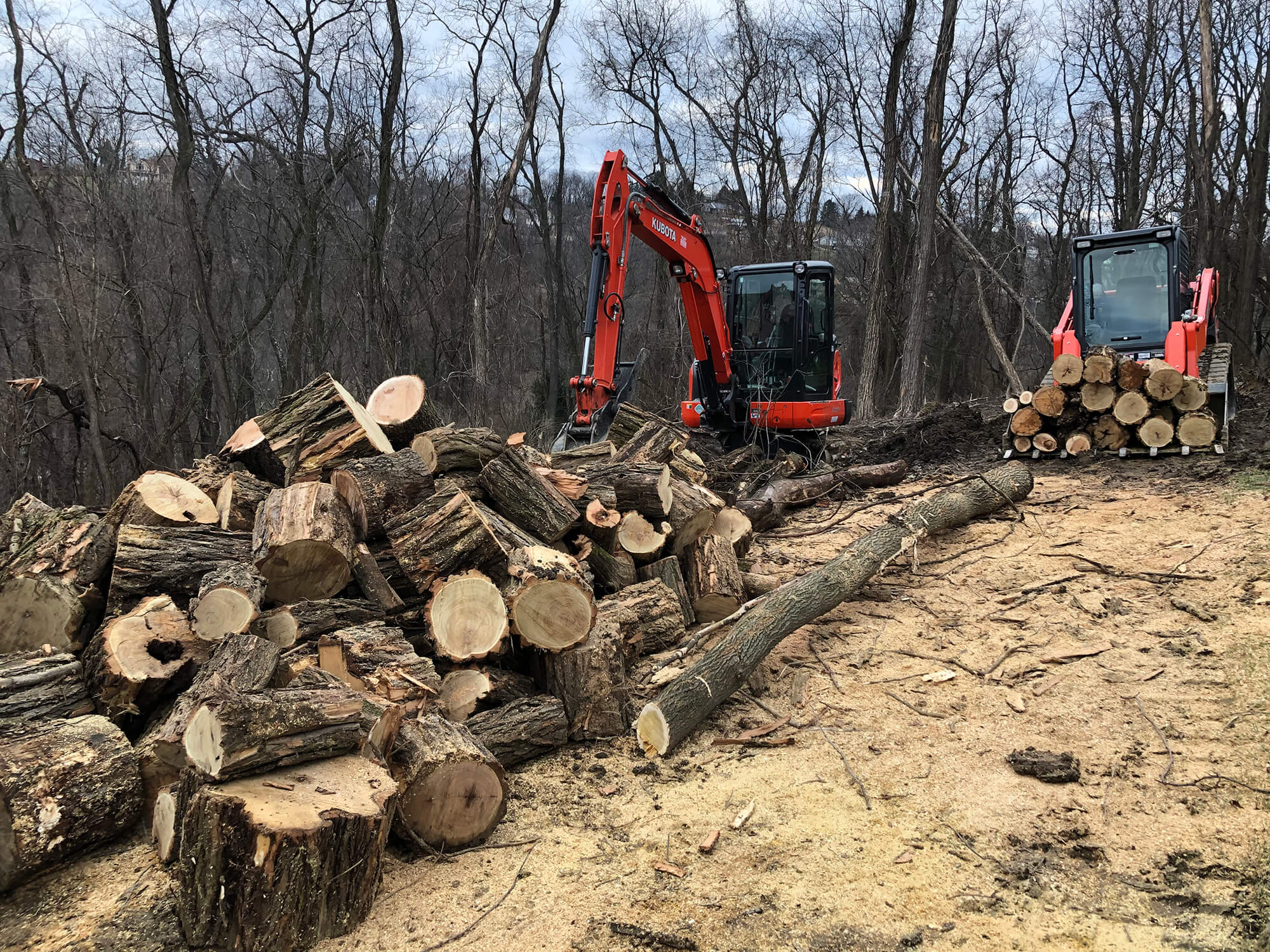 Site Preperation Excavation Services in Monroeville